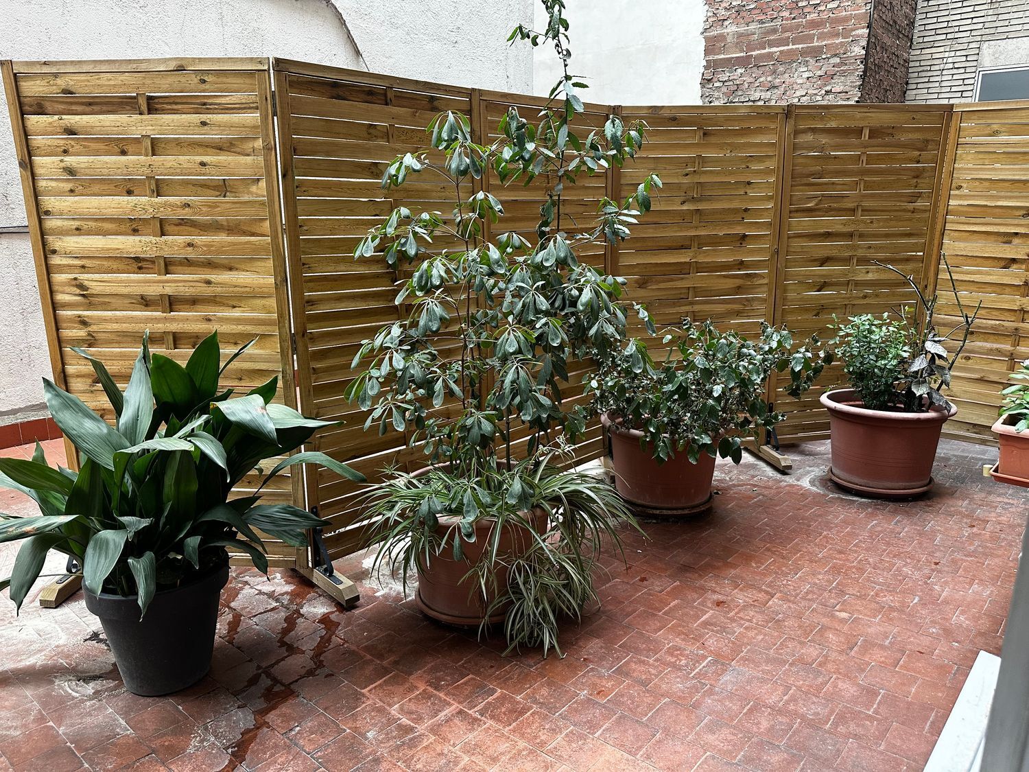 Pisos-Alquiler-Madrid-1397222-Foto-3