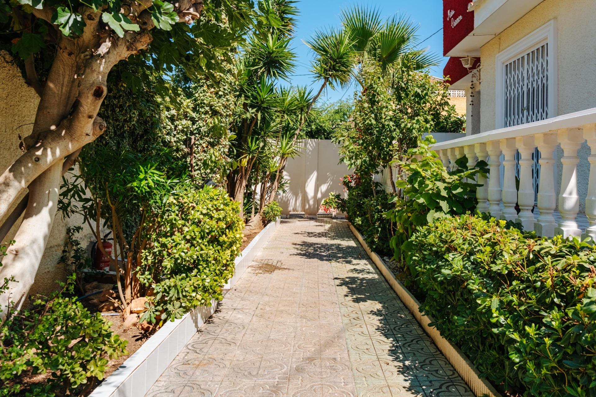 Casas o chalets-Venta-Torrevieja-2413505-Foto-68