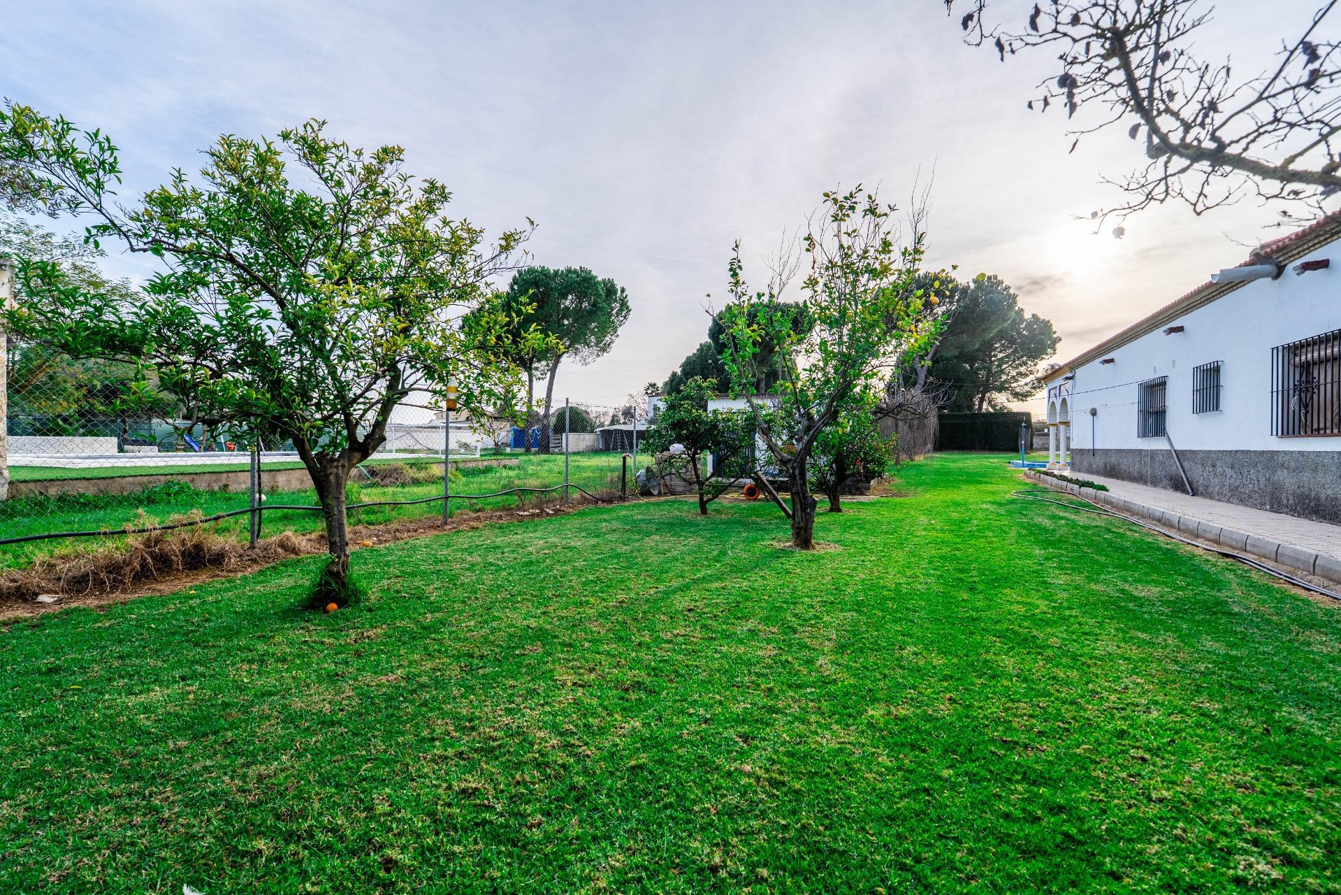 Casas o chalets-Venta-SanlÃºcar la Mayor-2151798-Foto-65