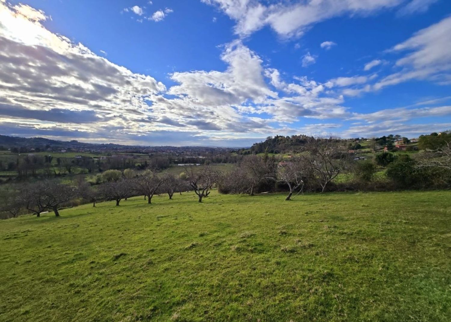 Suelo en venta, Periurbano - Rural - Vega, GijÃ³n / XixÃ³n, Asturias