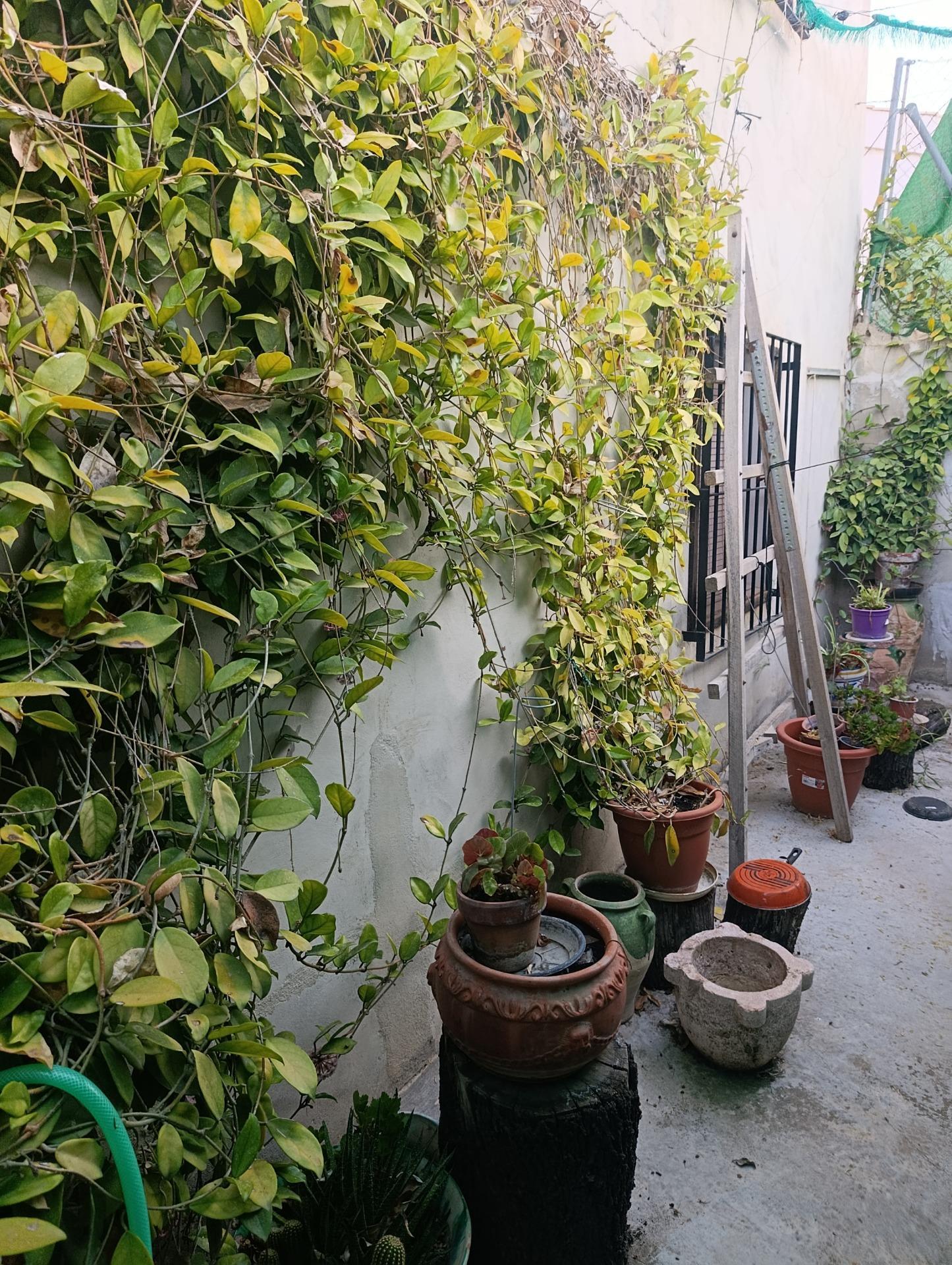 Casa rural en venta, sa Pobla, Murcia, Murcia