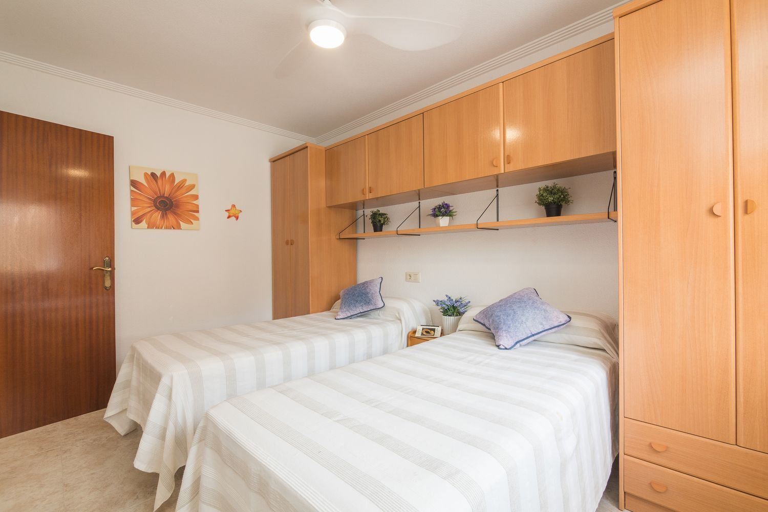 Pisos-Venta-Santa Pola-2413616-Foto-22