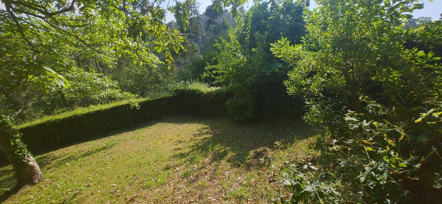 Casas o chalets-Venta-Villaviciosa-2413619-Foto-53