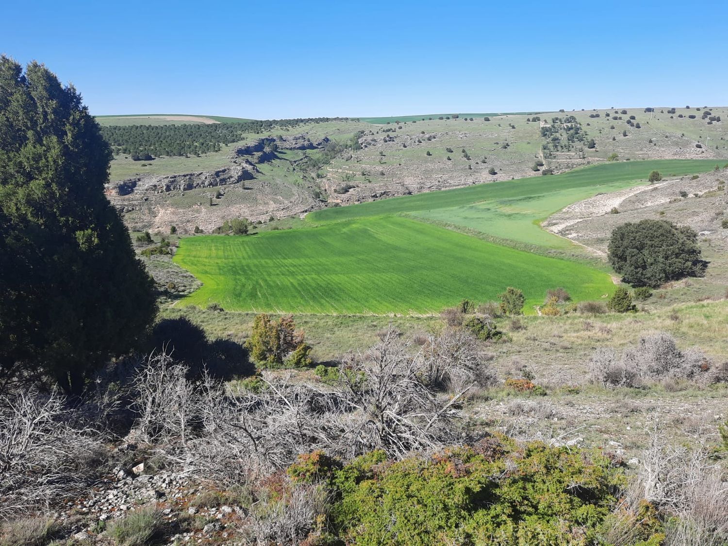 Suelo en venta, Torreiglesias, Segovia