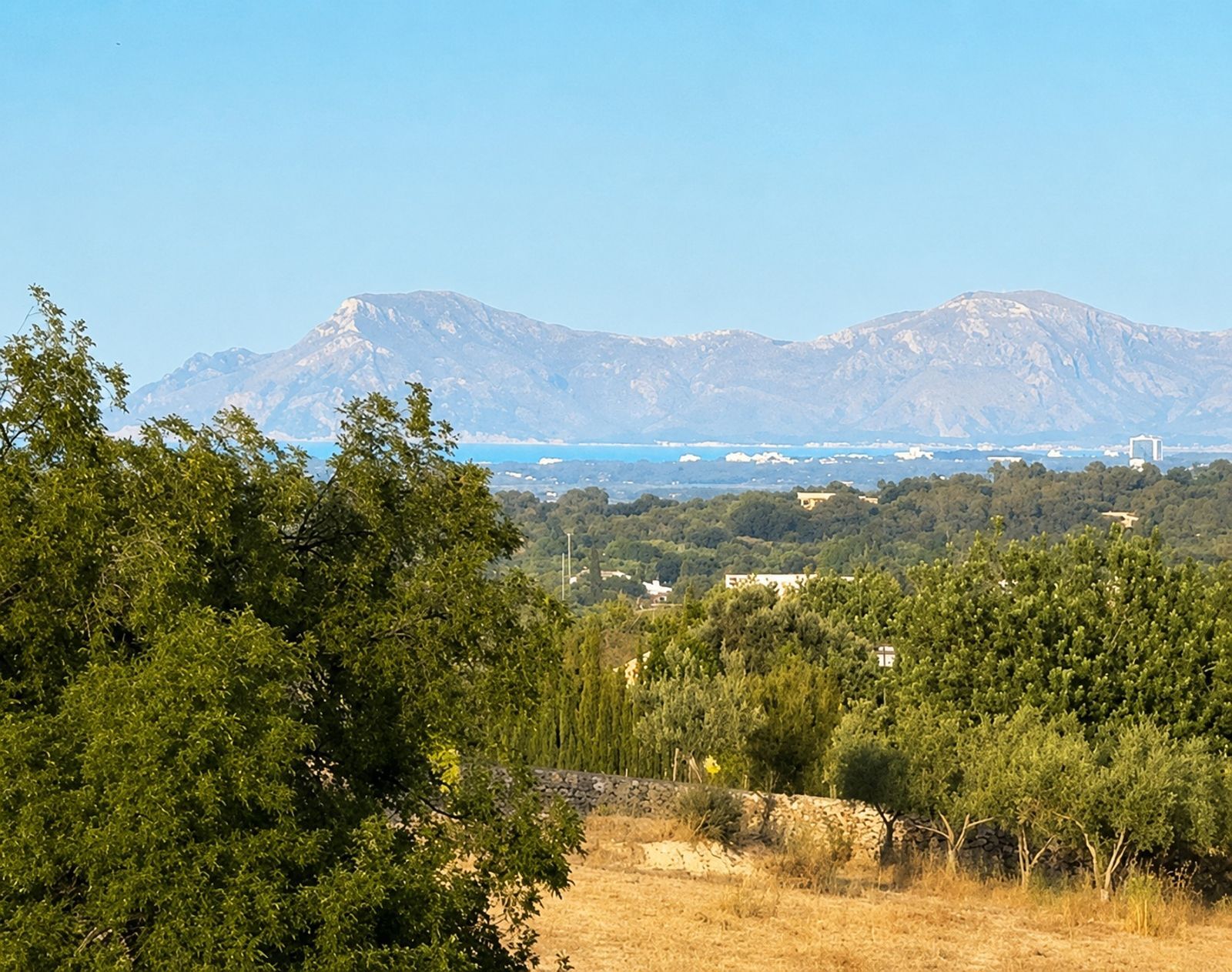 Suelo en venta, Moscari