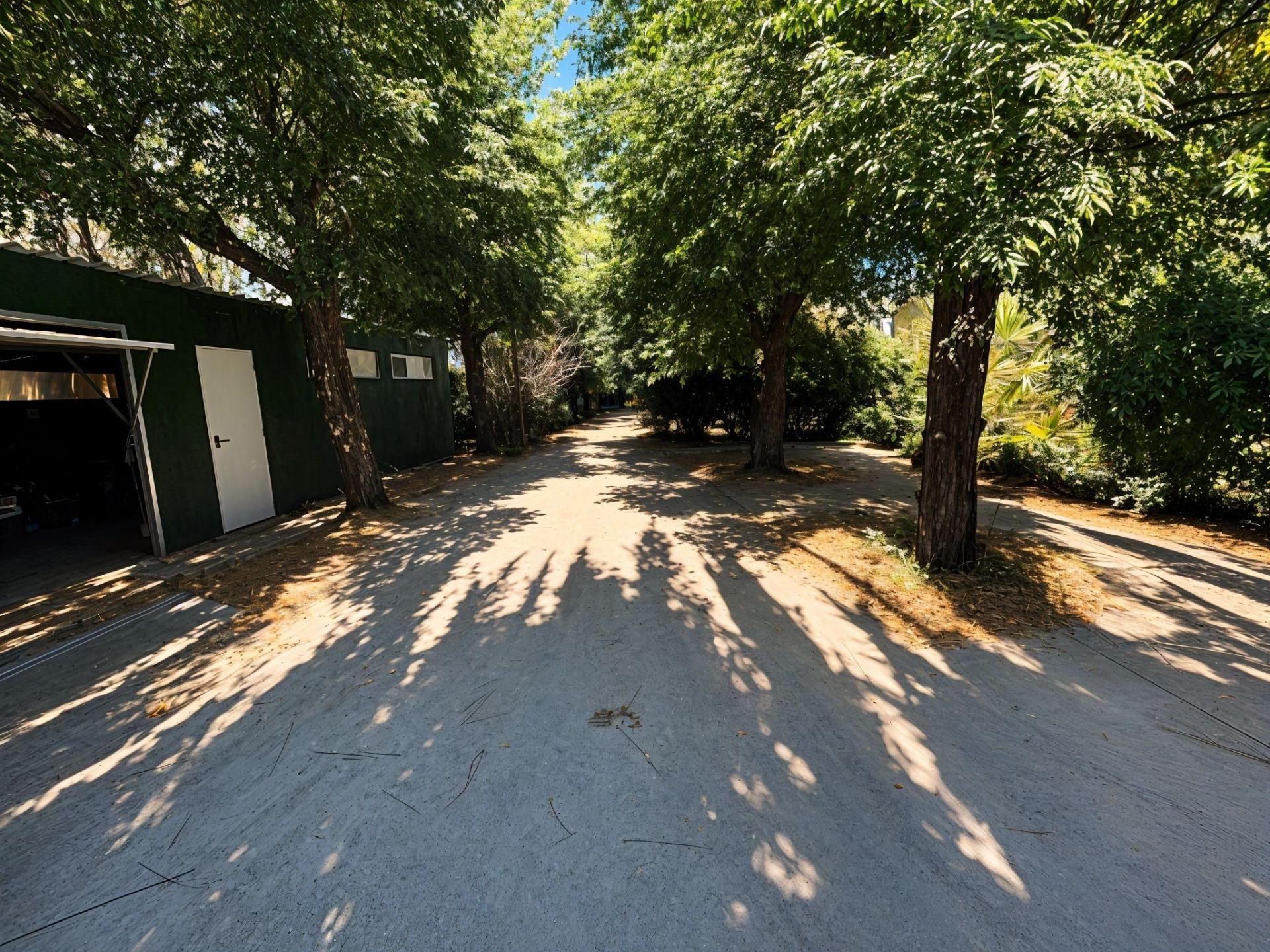 Pisos-Venta-Carcaixent-1751849-Foto-77