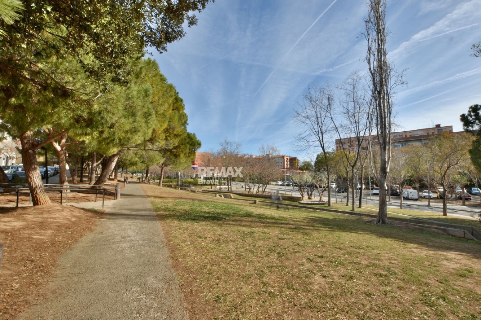 Negocios-Venta-Sant Feliu de Llobregat-2413709-Foto-32