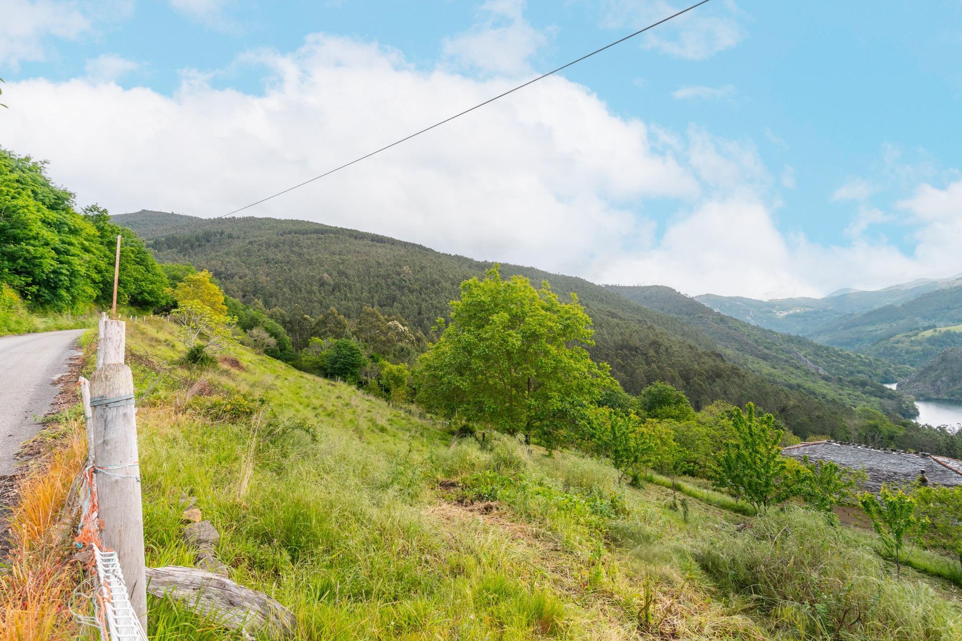 Casas o chalets-Venta-El Boalo-2413730-Foto-53