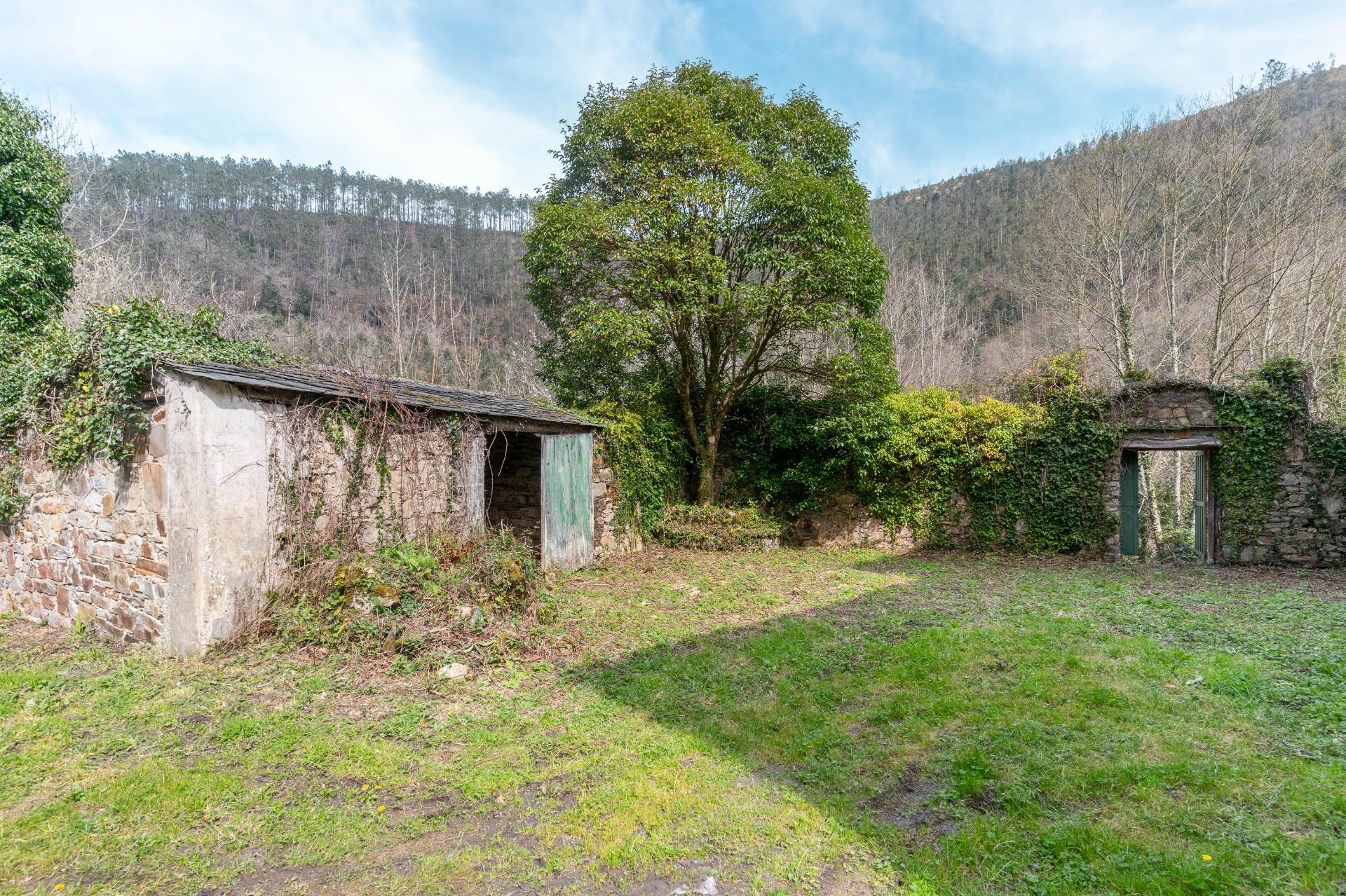 Casas o chalets-Venta-Castropol-2201299-Foto-75