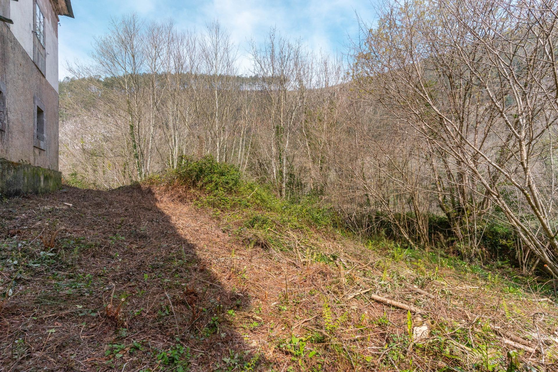 Casas o chalets-Venta-Castropol-2201299-Foto-87