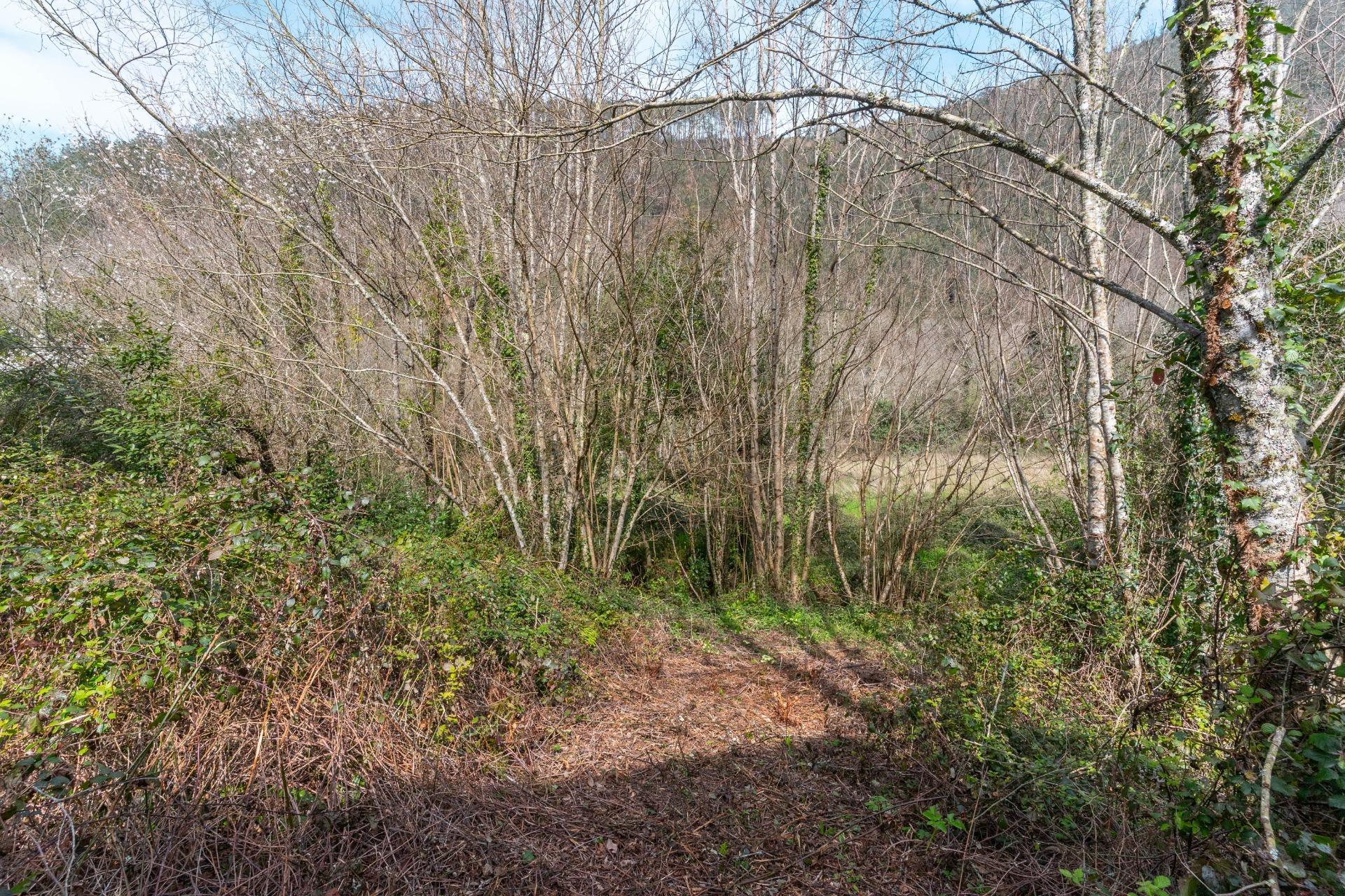 Casas o chalets-Venta-Castropol-2201299-Foto-91