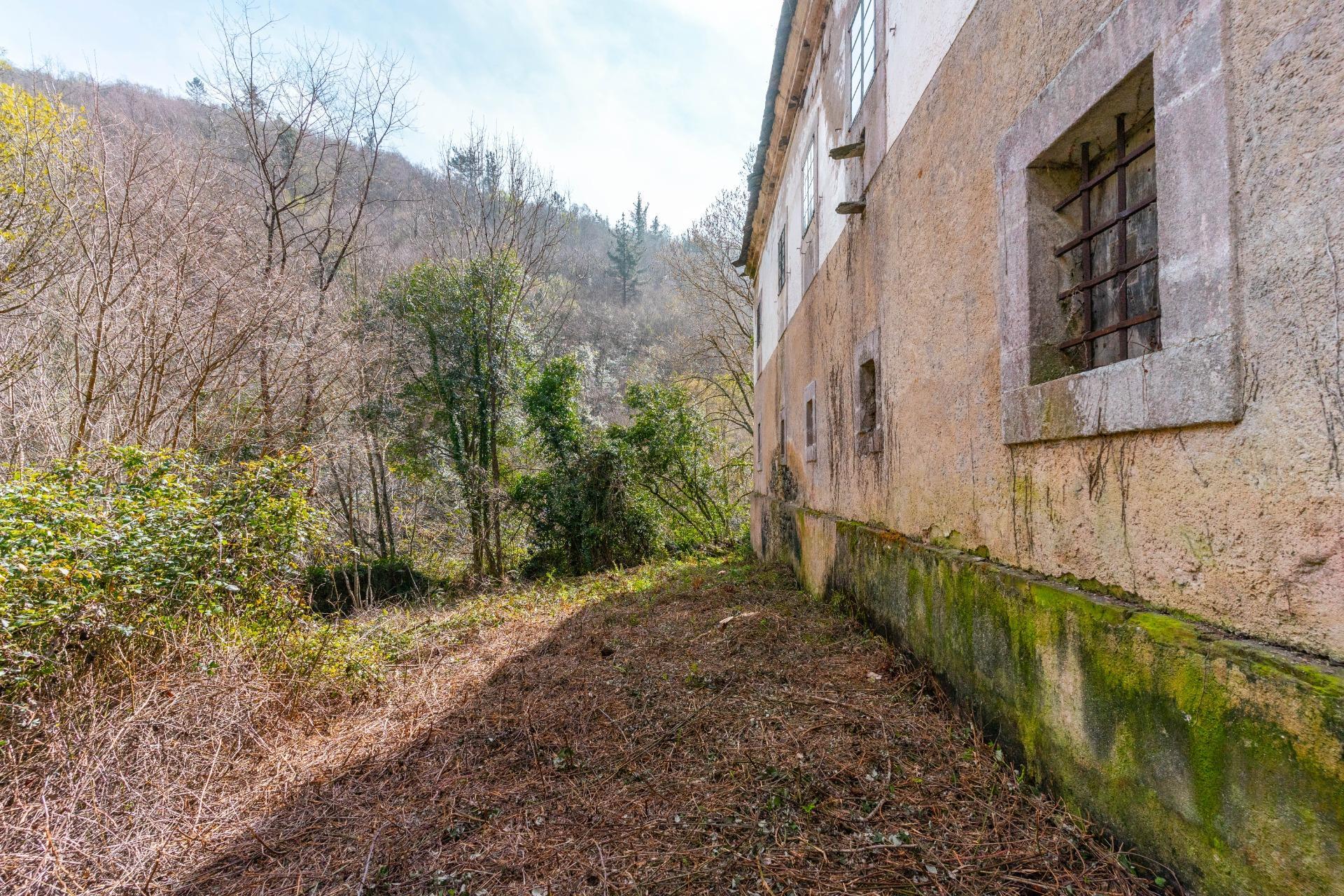Casas o chalets-Venta-Castropol-2201299-Foto-89