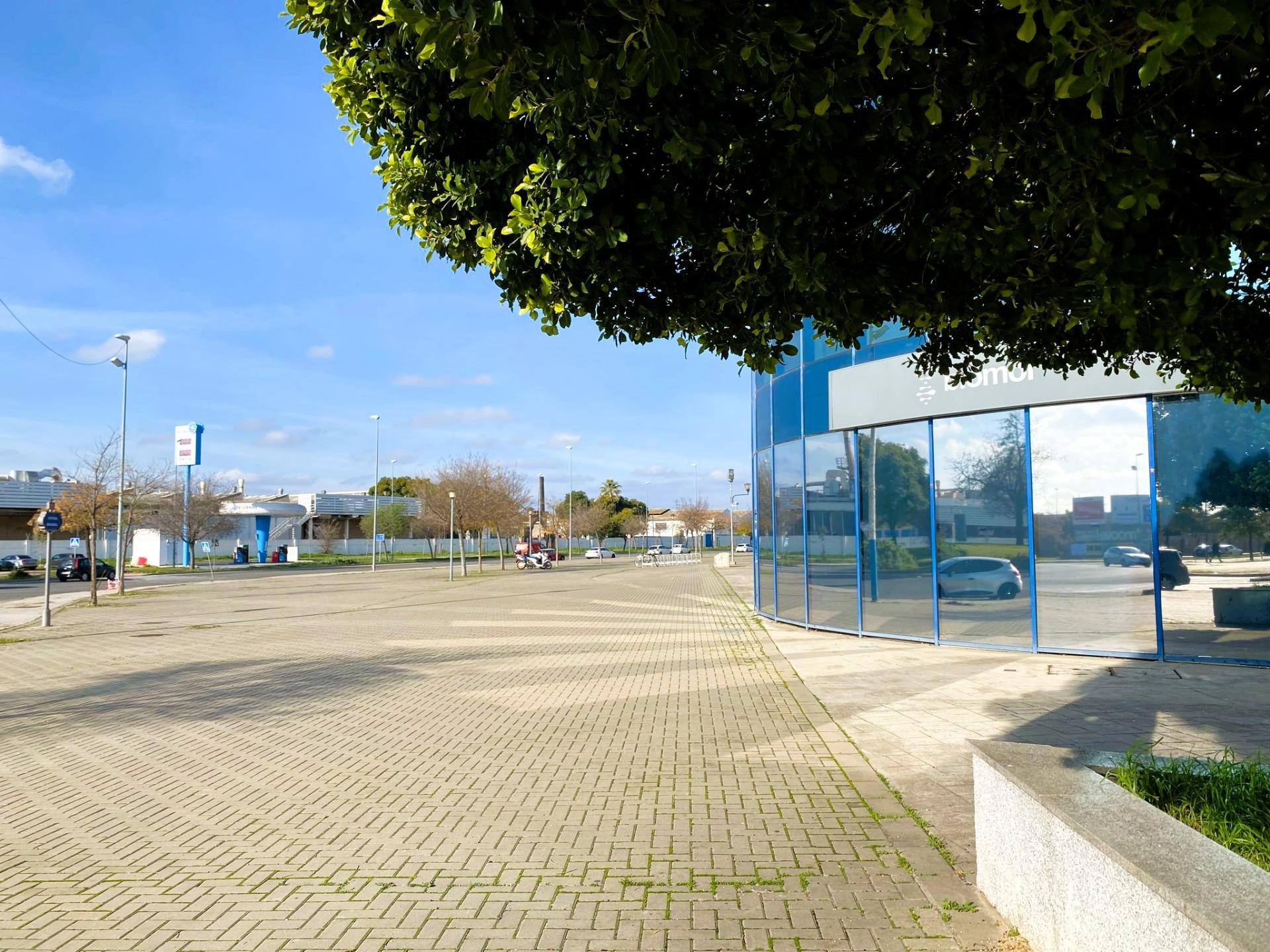 Garajes-Venta-Burguillos-2415419-Foto-8