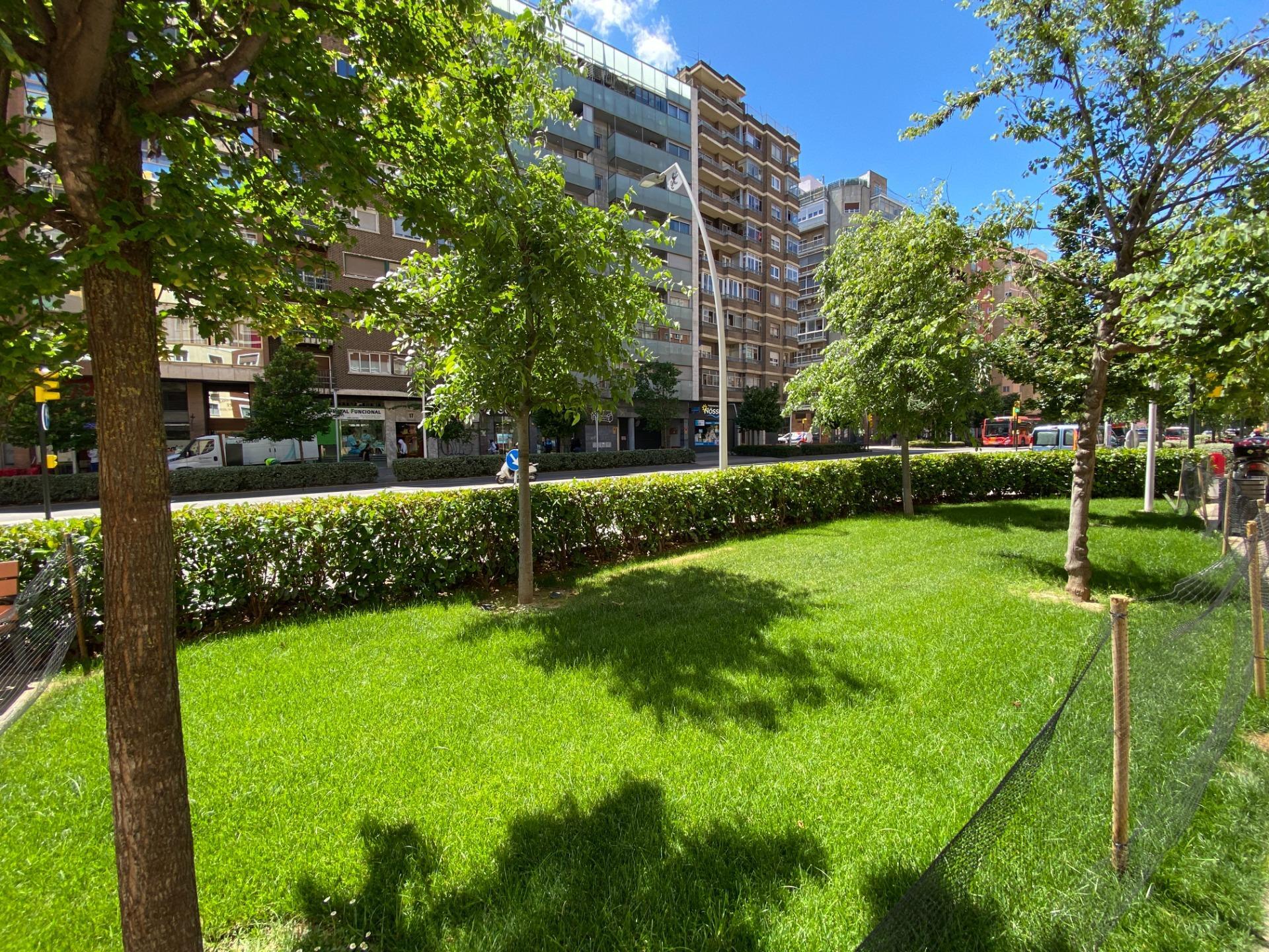 Pisos-Venta-Zaragoza-2415938-Foto-33