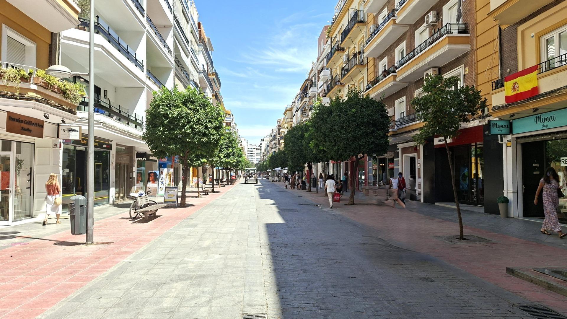 Pisos-Venta-Burguillos-2415428-Foto-23