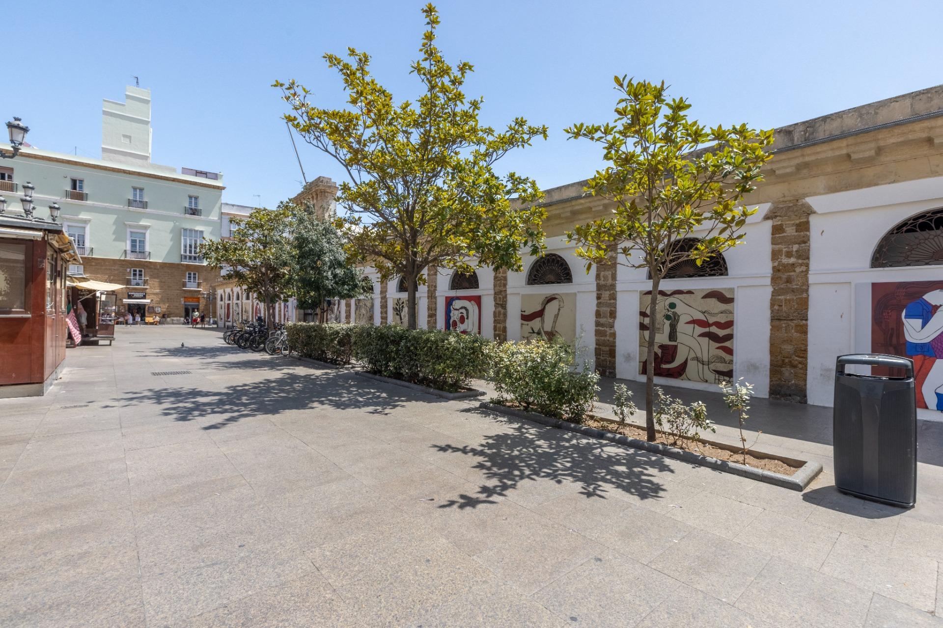 Pisos-Venta-CÃ¡diz-2413892-Foto-45