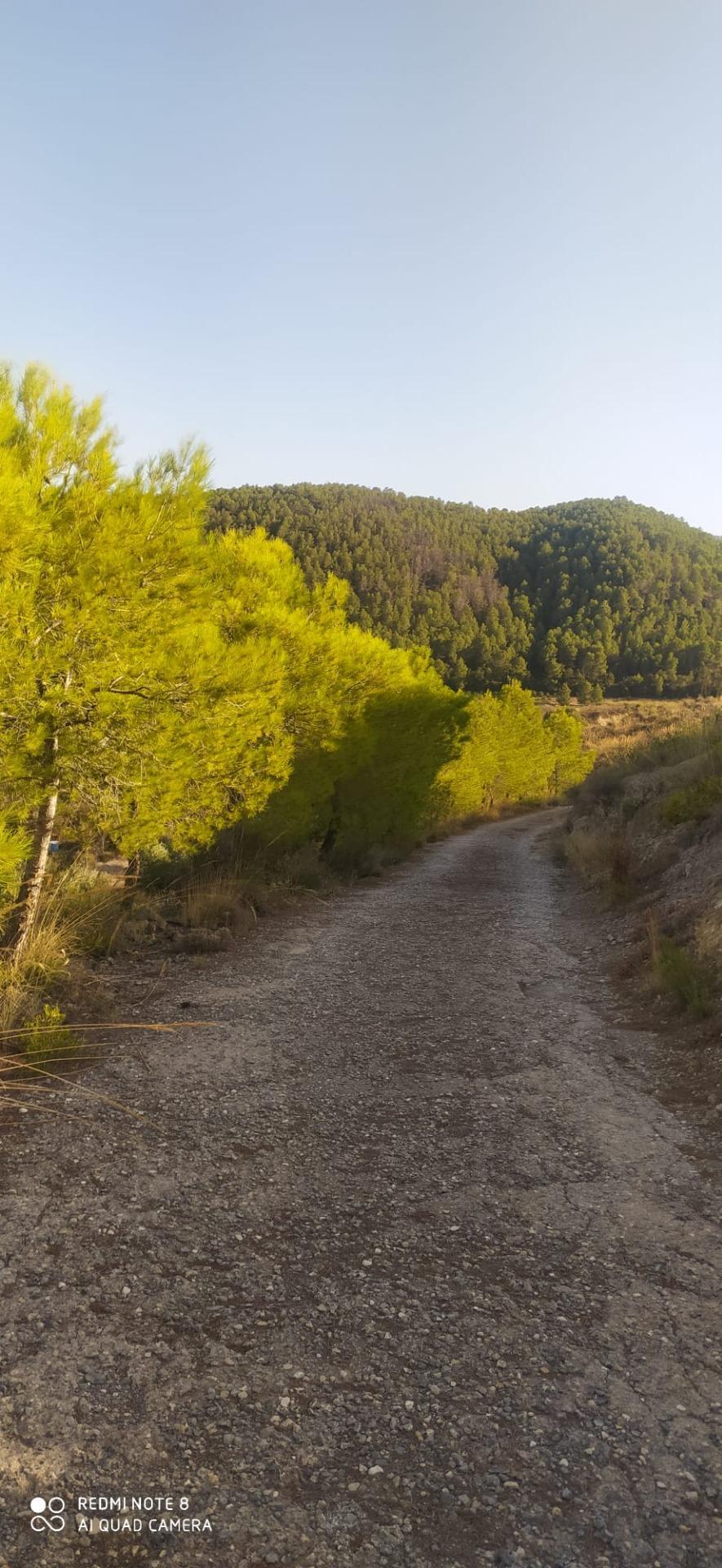 RÃºstico en venta, CehegÃ­n, Murcia, Murcia