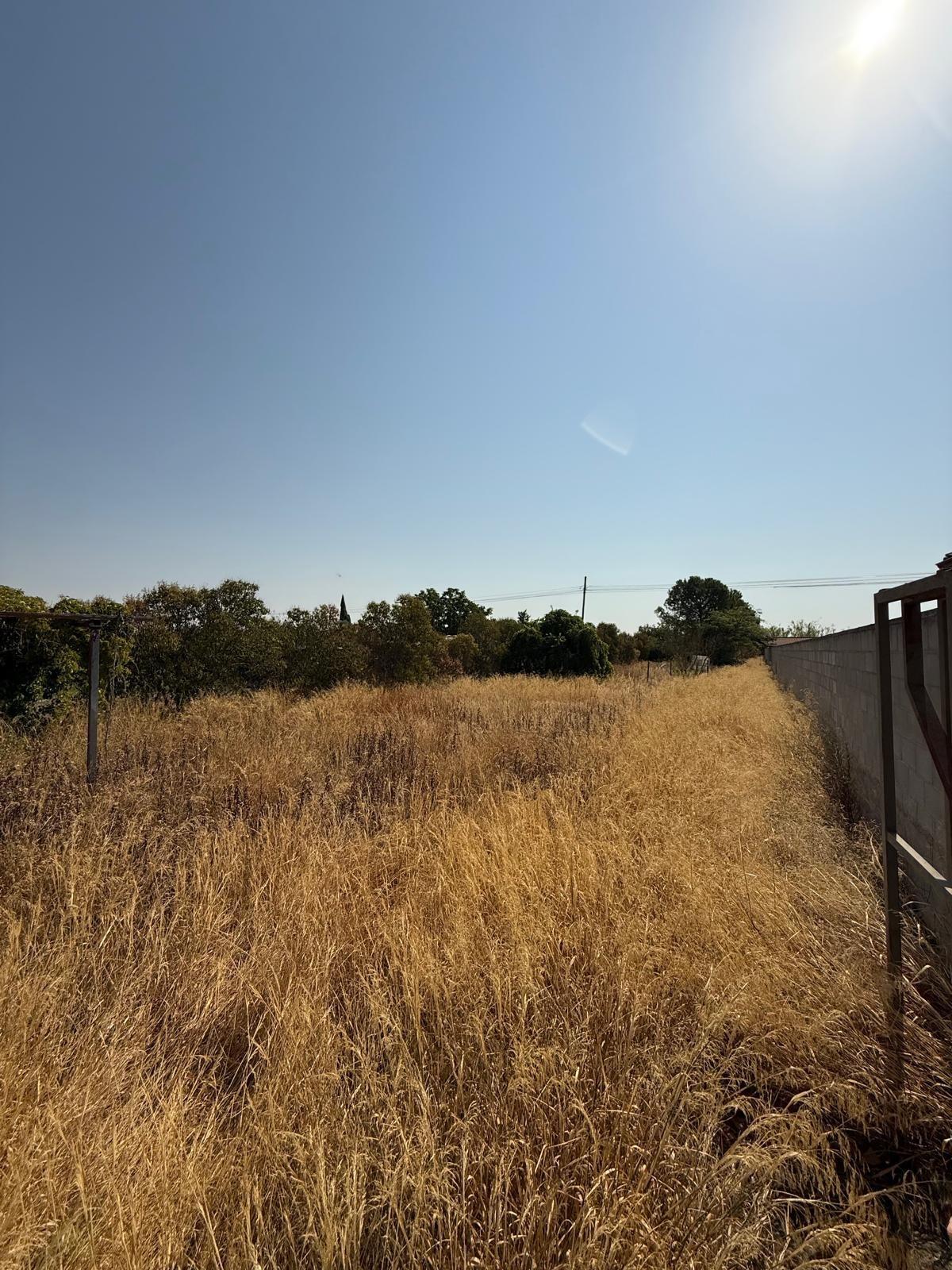 Fincas y solares-Venta-Zaragoza-2413985-Foto-7