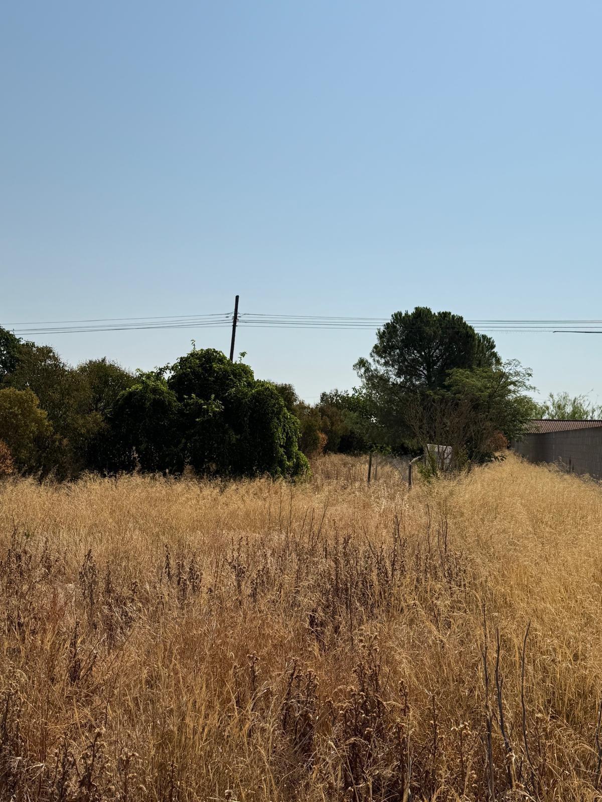Fincas y solares-Venta-Zaragoza-2413985-Foto-6