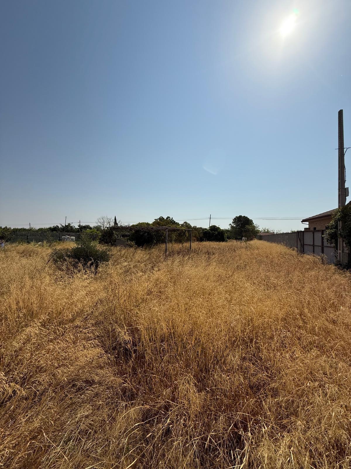 Fincas y solares-Venta-Zaragoza-2413985-Foto-8