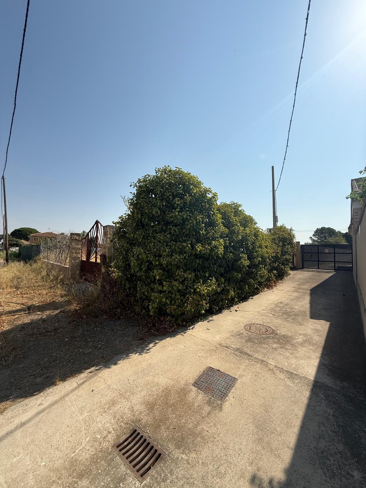 Fincas y solares-Venta-Zaragoza-2413985-Foto-5