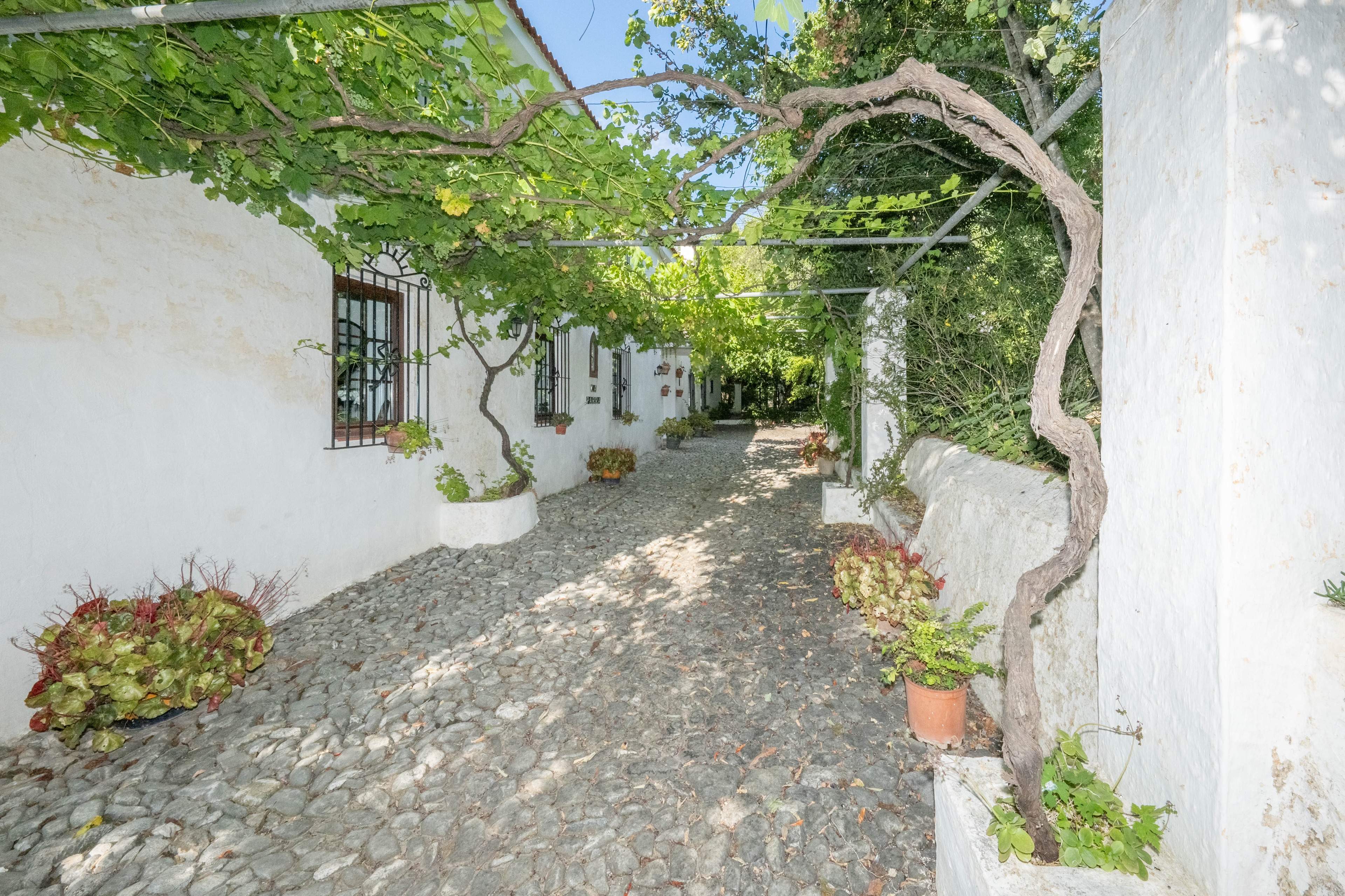 Chalet individual en venta, AlhaurÃ­n de la Torre, MÃ¡laga, MÃ¡laga