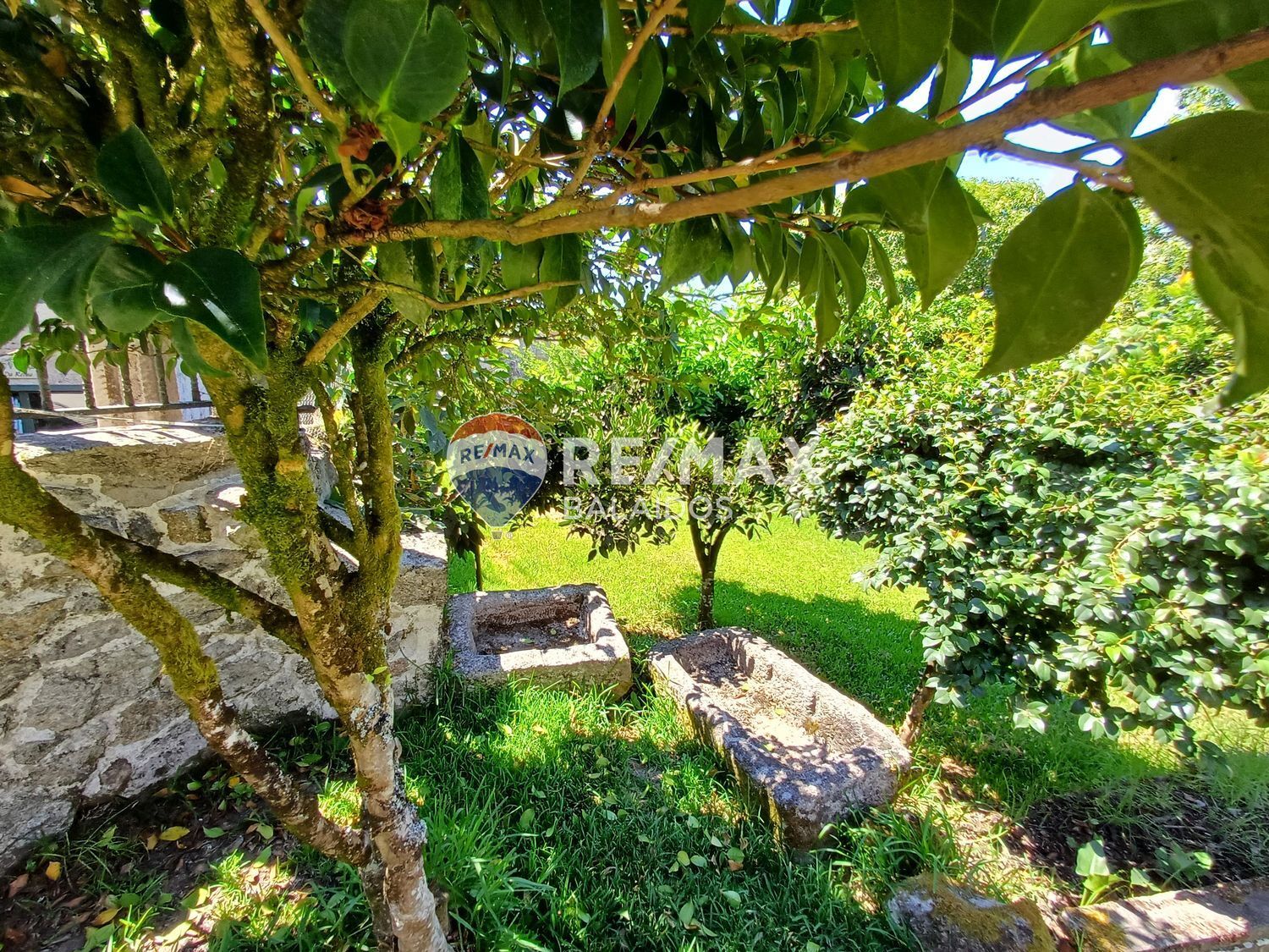 Casas o chalets-Venta-Covelo-1396241-Foto-65