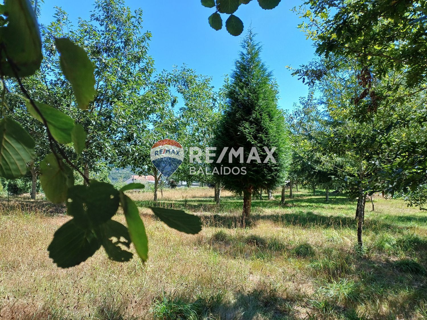 Casas o chalets-Venta-Covelo-1396241-Foto-74