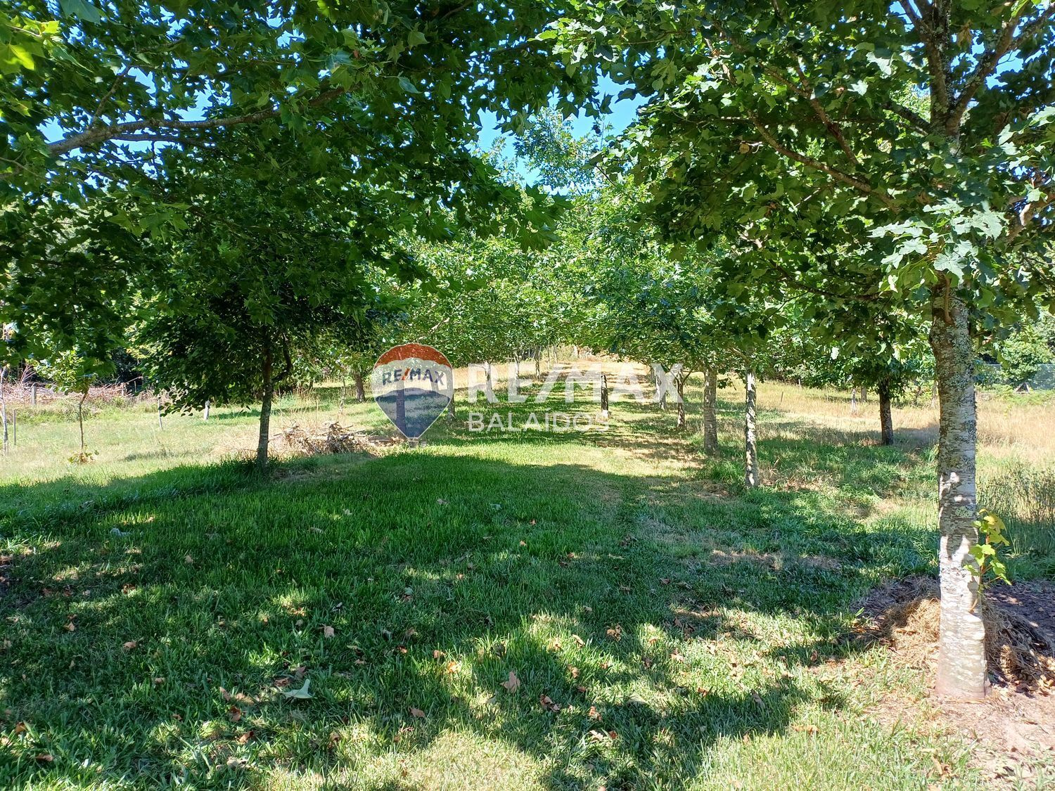 Casas o chalets-Venta-Covelo-1396241-Foto-77