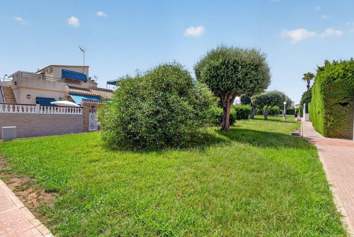 Casas o chalets-Venta-Torrevieja-2414717-Foto-23