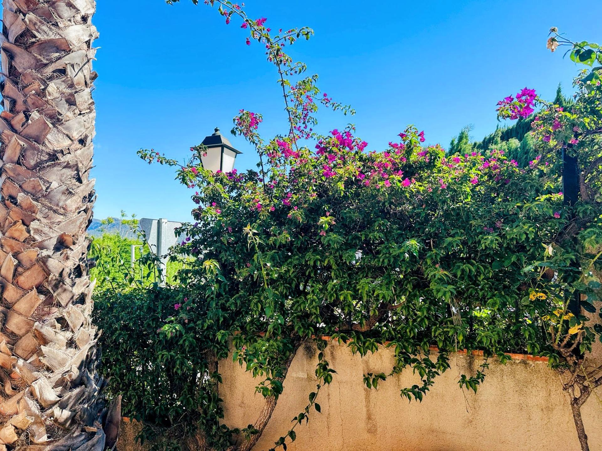 Casas o chalets-Venta-Ador-2416142-Foto-57