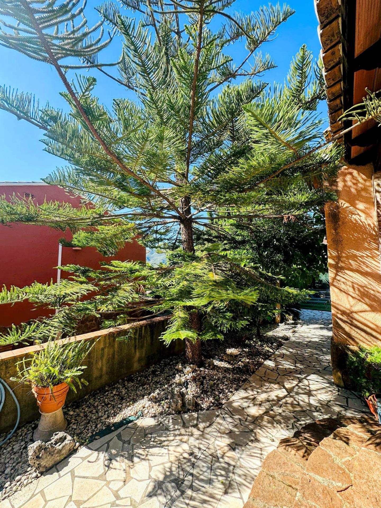Casas o chalets-Venta-Ador-2416142-Foto-56