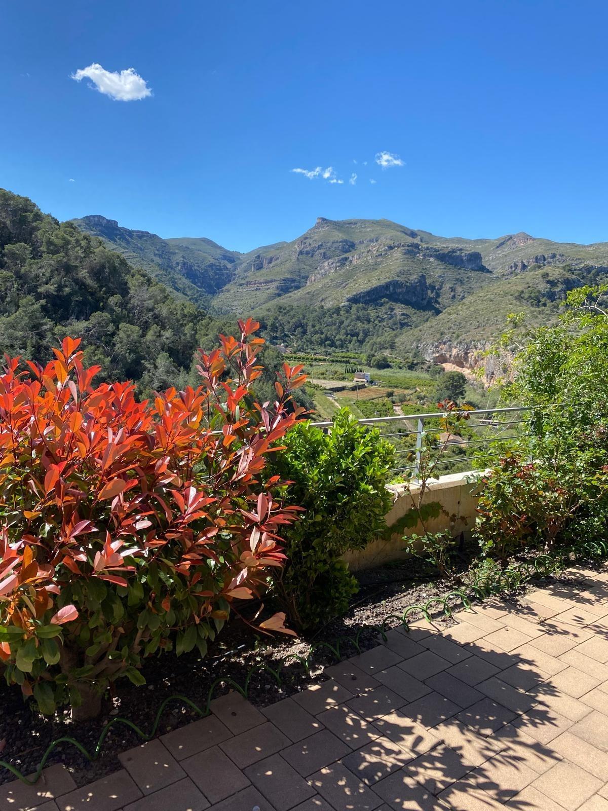 Casas o chalets-Venta-RÃ³tova-2088174-Foto-73