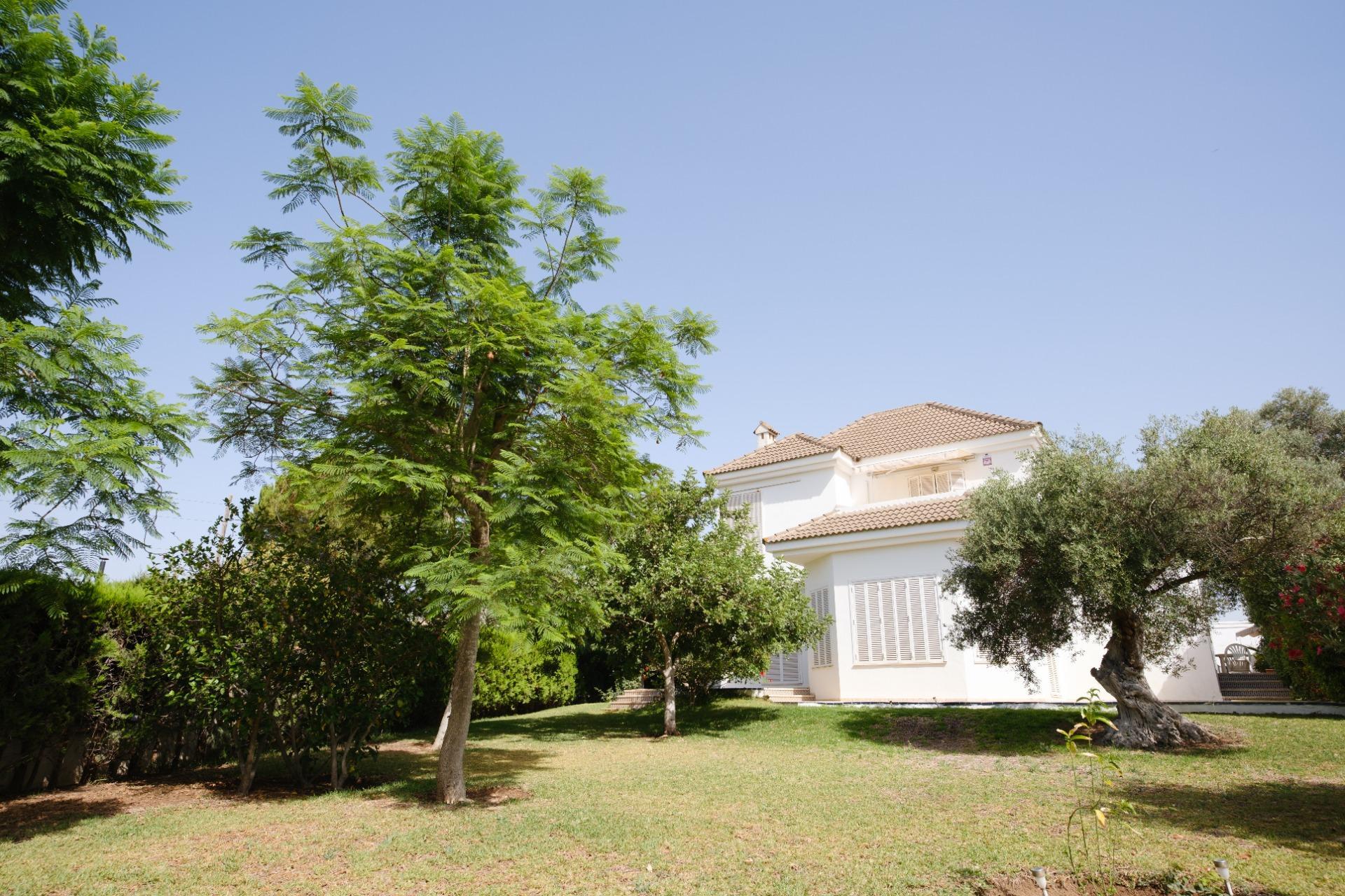 Casas o chalets-Venta-Montequinto-2414072-Foto-57
