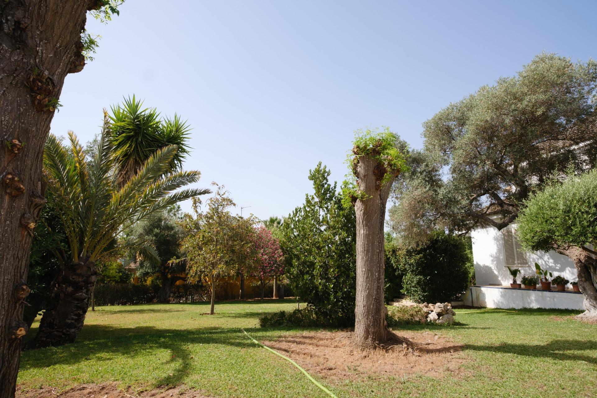 Casas o chalets-Venta-Montequinto-2414072-Foto-59