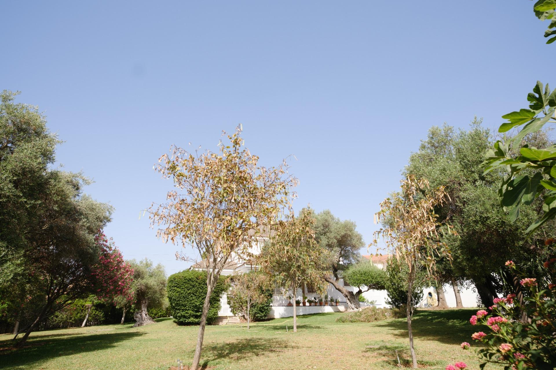 Casas o chalets-Venta-Montequinto-2414072-Foto-60