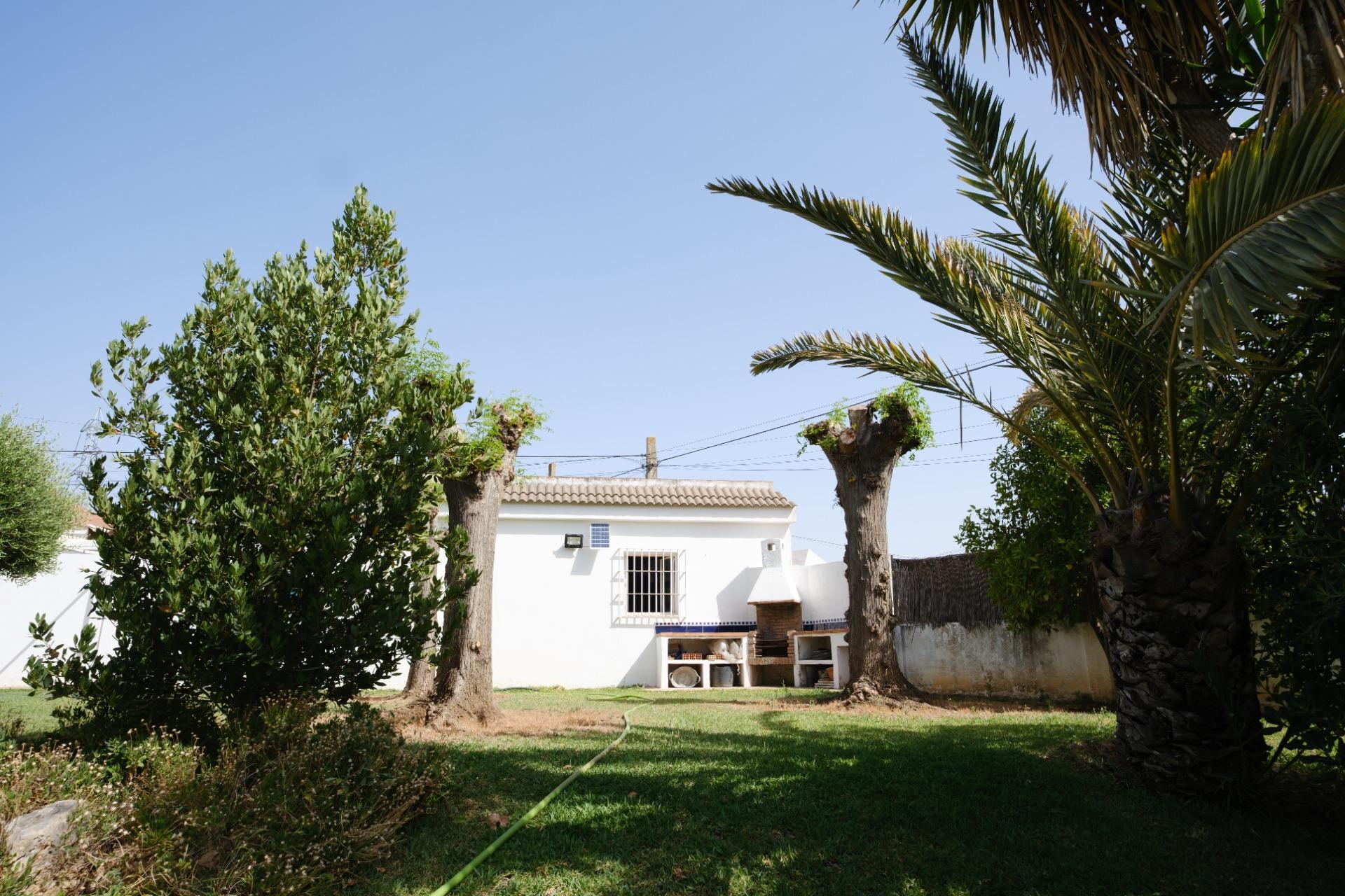 Casas o chalets-Venta-Montequinto-2414072-Foto-62