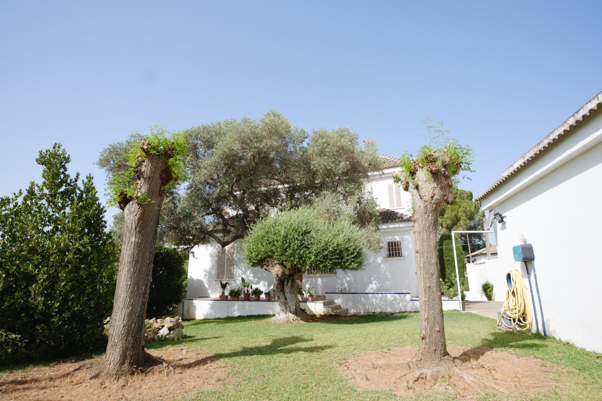 Casas o chalets-Venta-Montequinto-2414072-Foto-63