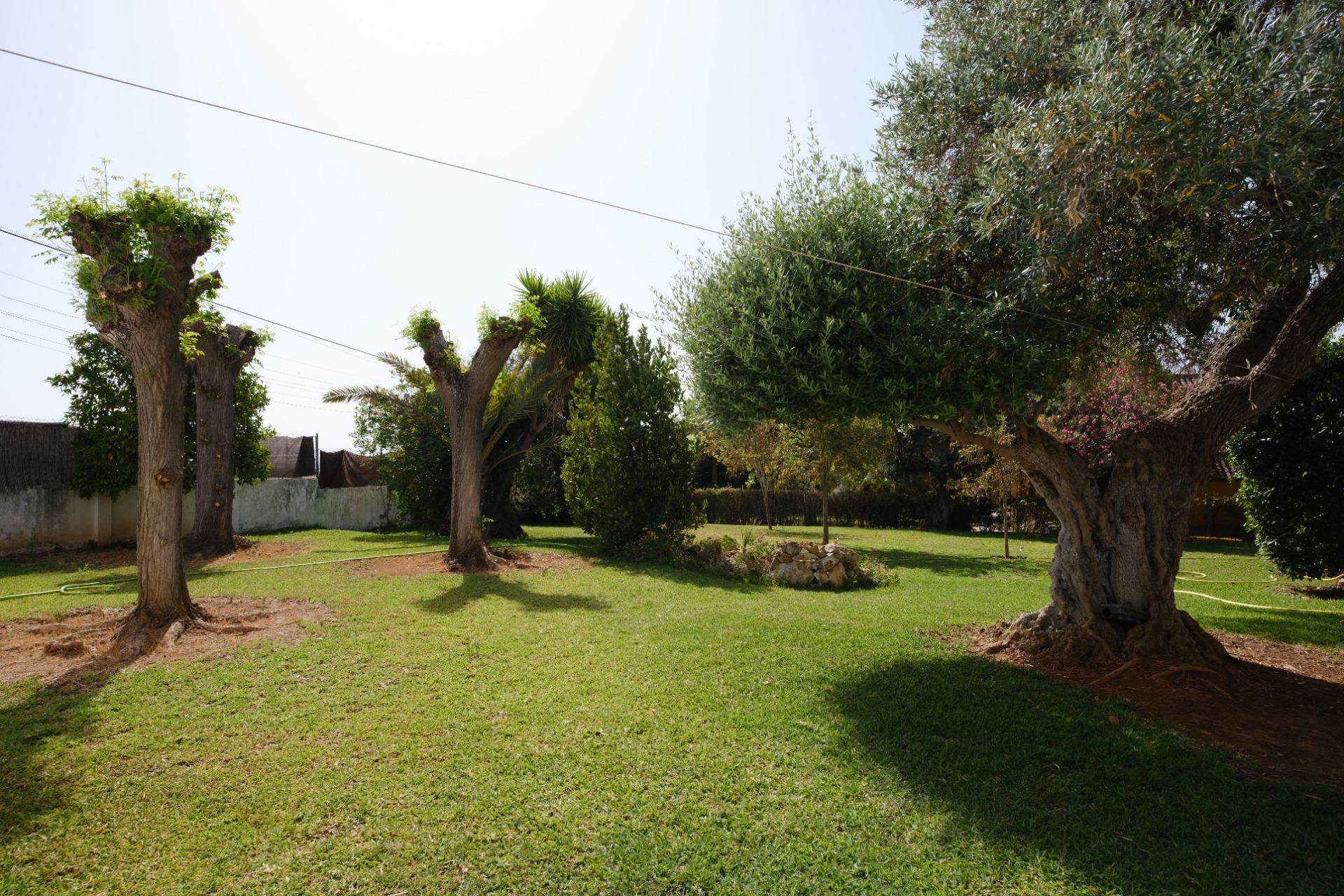 Casas o chalets-Venta-Montequinto-2414072-Foto-61