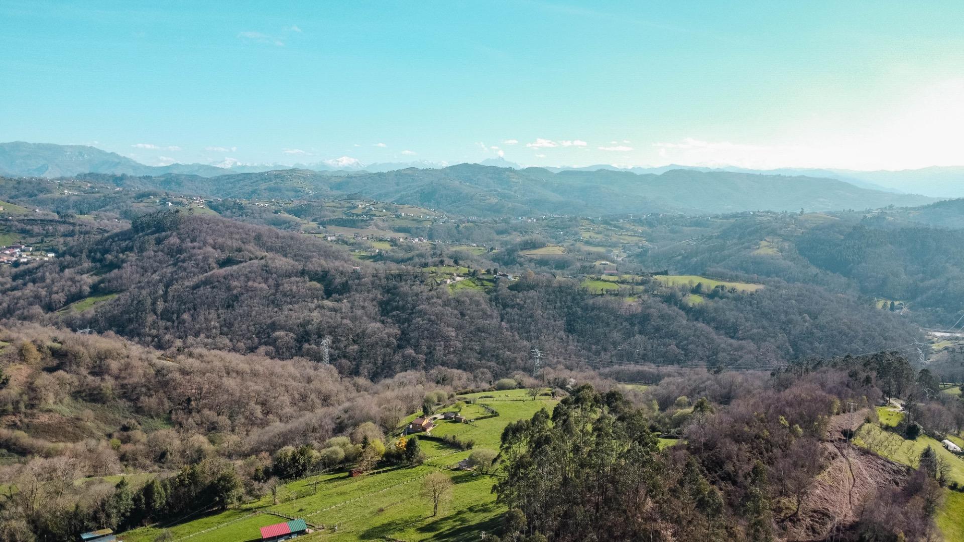 Casas o chalets-Venta-Siero-2414096-Foto-52