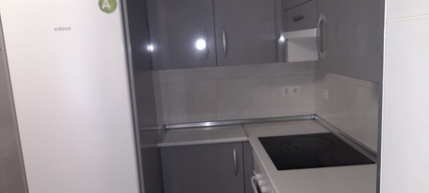 Pisos-Alquiler-Valladolid-2414225-Foto-4