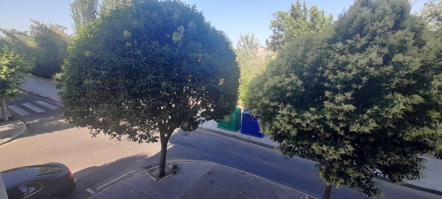 Pisos-Alquiler-Valladolid-2414225-Foto-23
