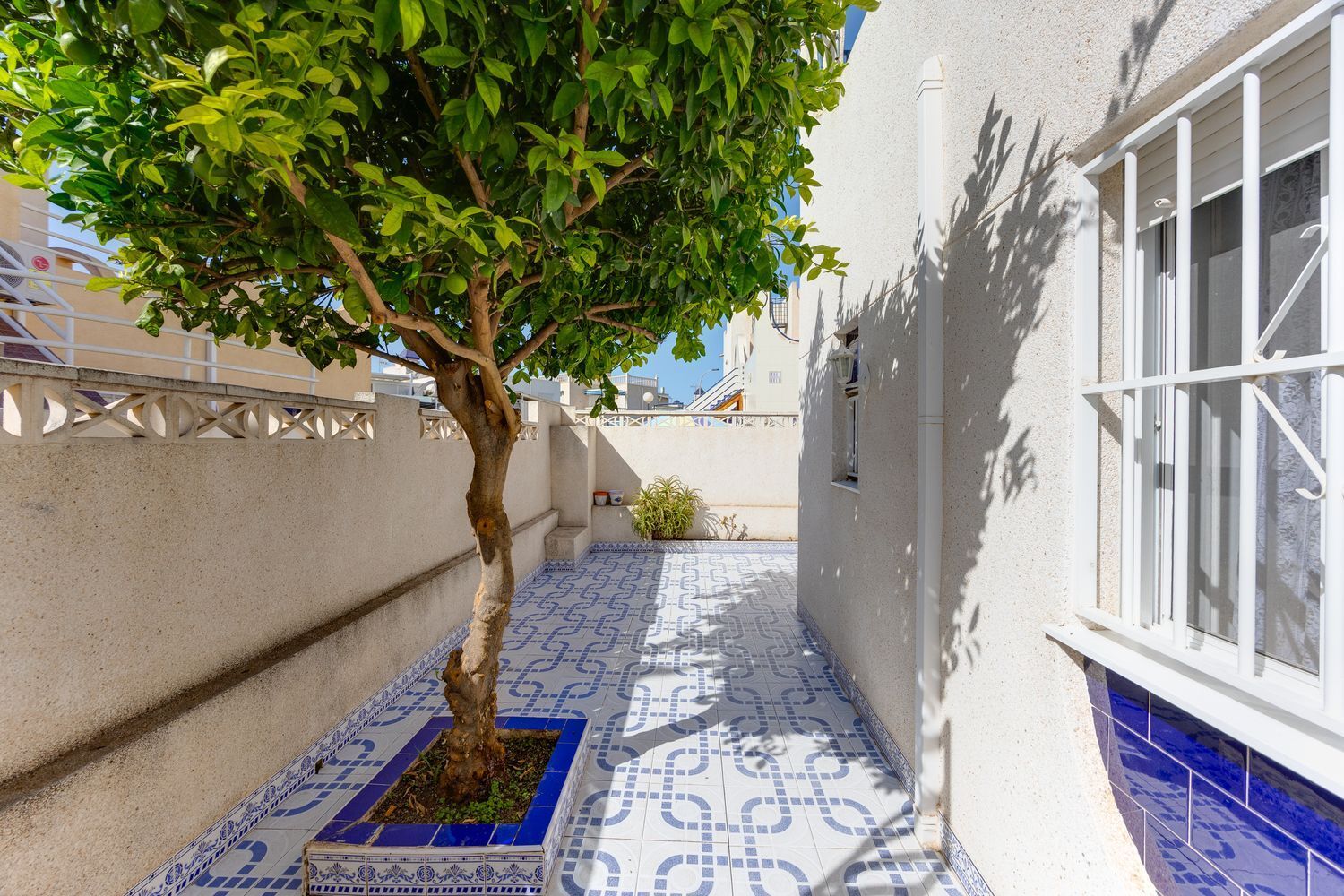 Casas o chalets-Venta-Torrevieja-2411448-Foto-23