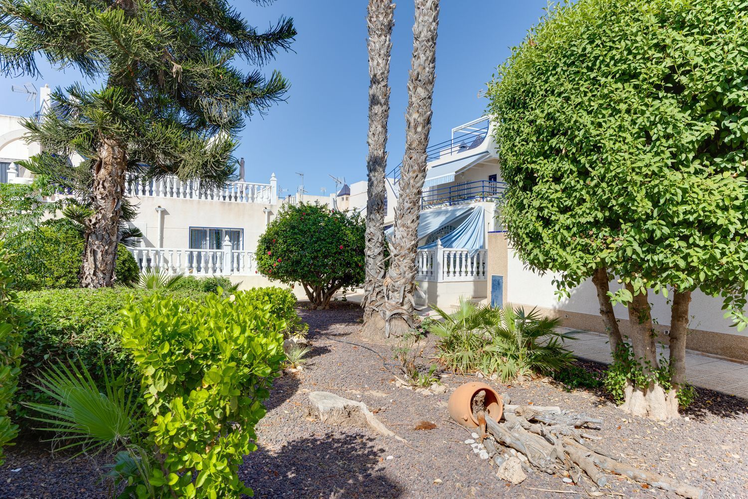 Casas o chalets-Venta-Torrevieja-2411448-Foto-33
