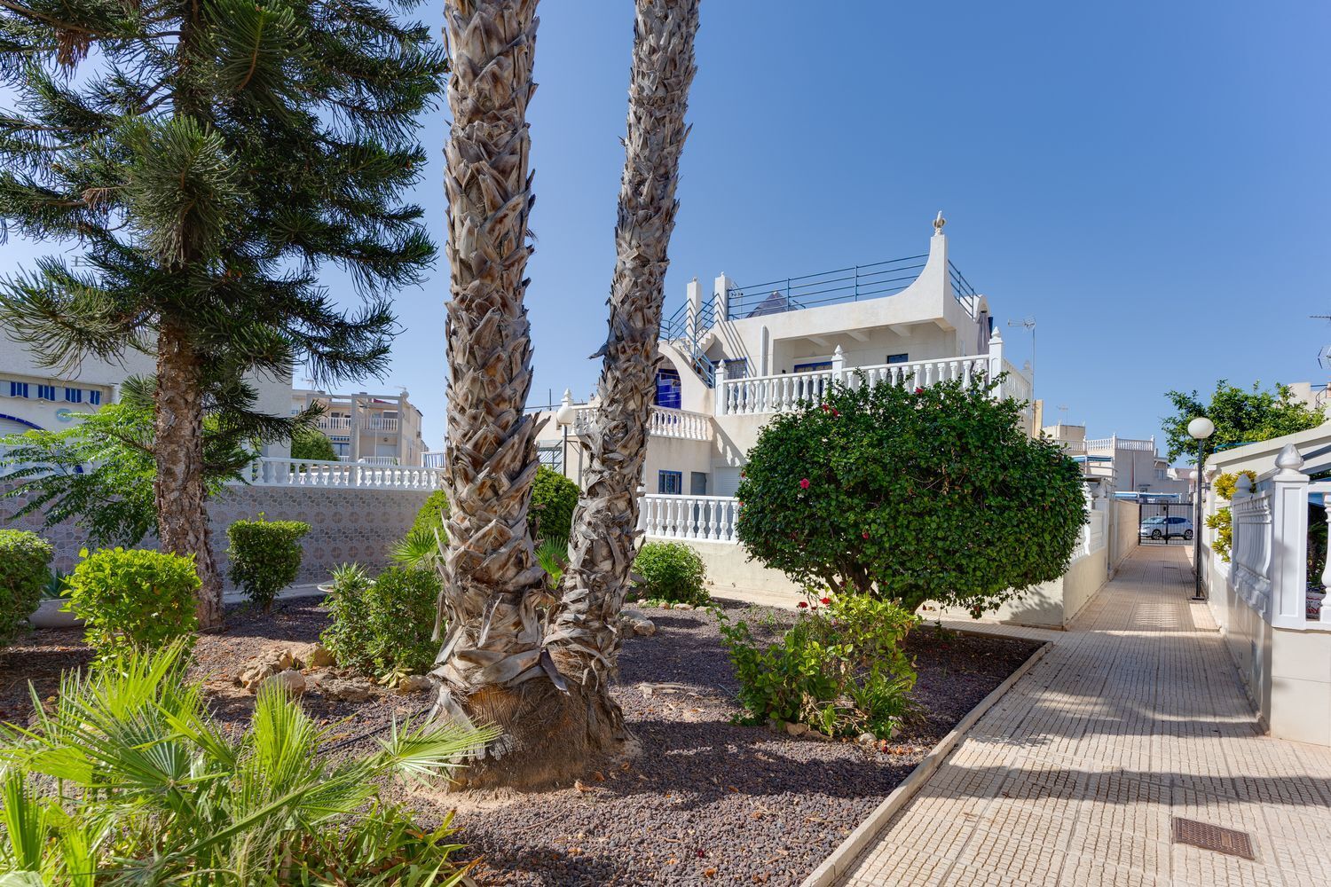 Casas o chalets-Venta-Torrevieja-2411448-Foto-41
