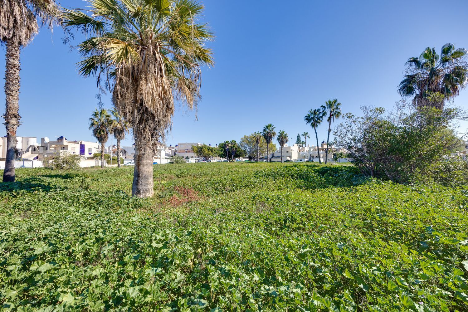 Casas o chalets-Venta-Torrevieja-2411448-Foto-54