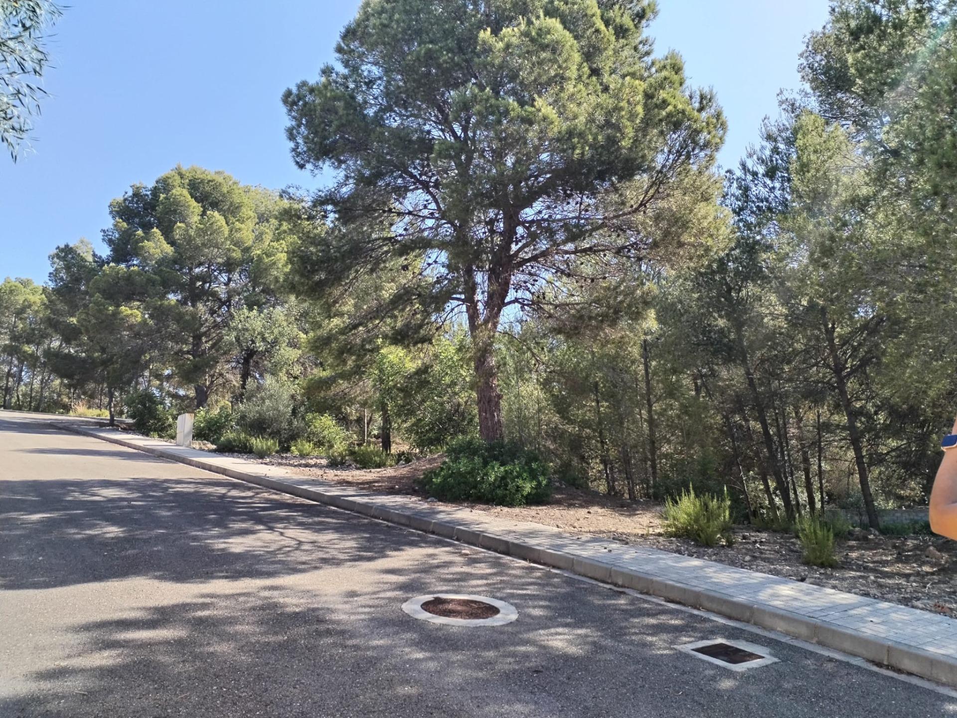 Suelo en venta, Albalat dels Tarongers