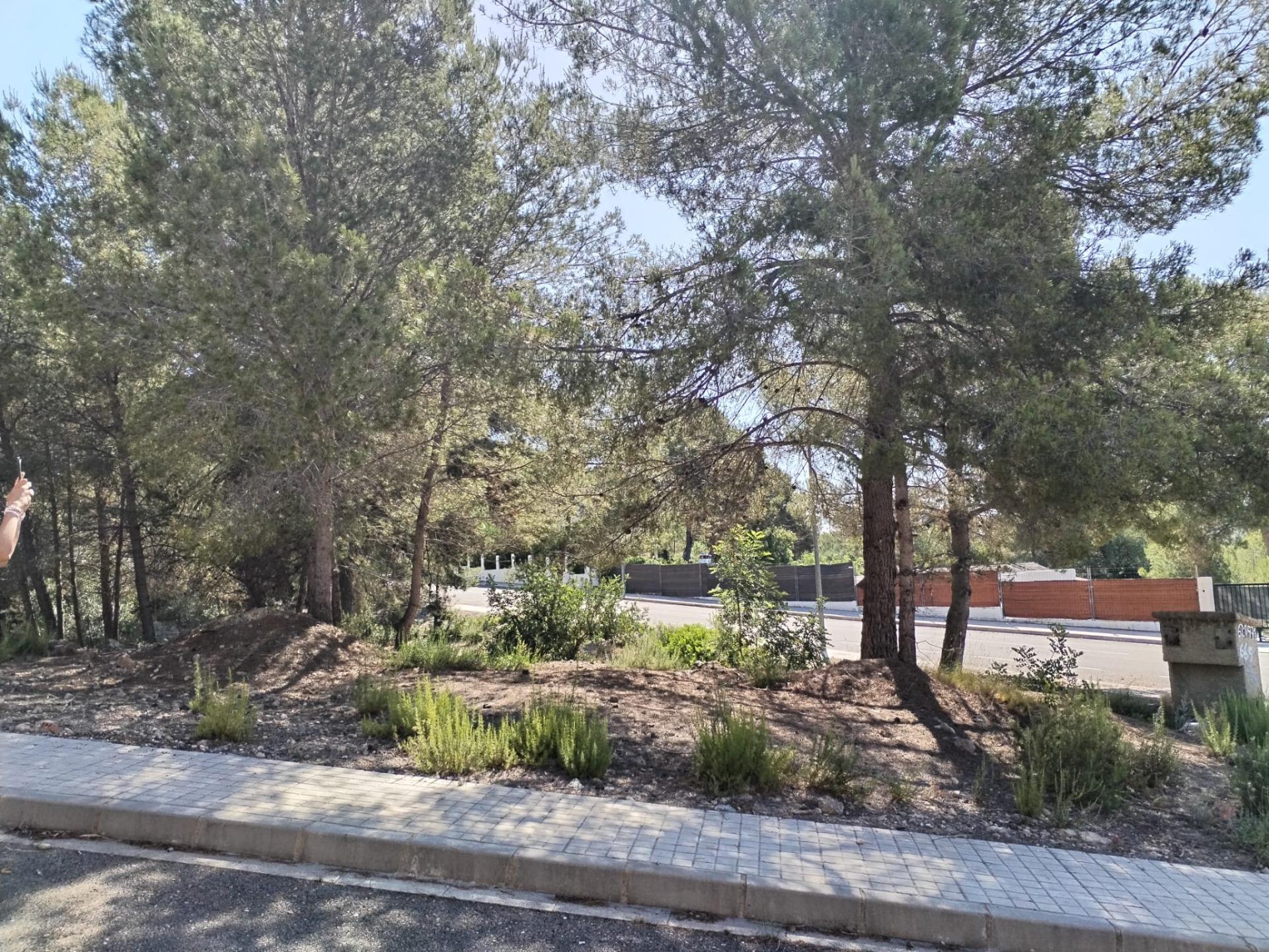 Suelo en venta, Albalat dels Tarongers, Valencia/ValÃ¨ncia, Valencia/ValÃ¨ncia