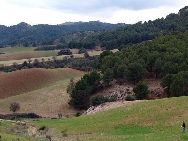 Fincas y solares-Venta-Ardales-2420774-Foto-11
