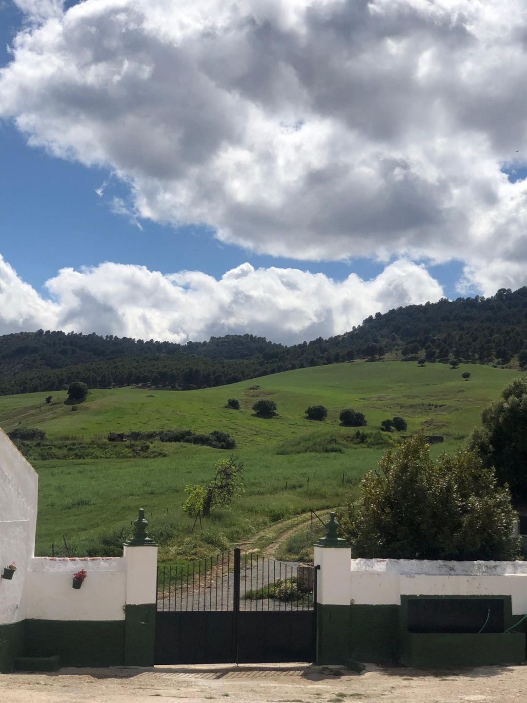 Fincas y solares-Venta-Ardales-2420774-Foto-16